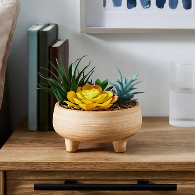 Dunelm Artificial Succulents in Terracotta Footed Plant Pot