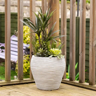 Dunelm Artificial Mixed Agave in Grey Pot Green