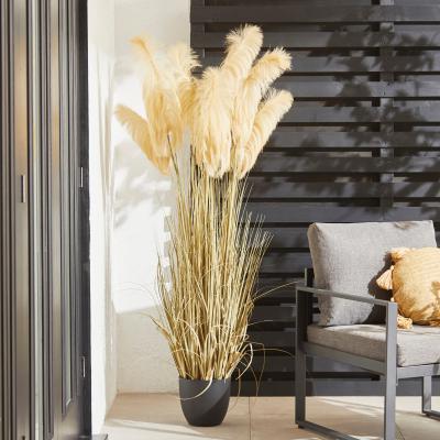 Dunelm Pampas Grass in Black Pot 150cm Green
