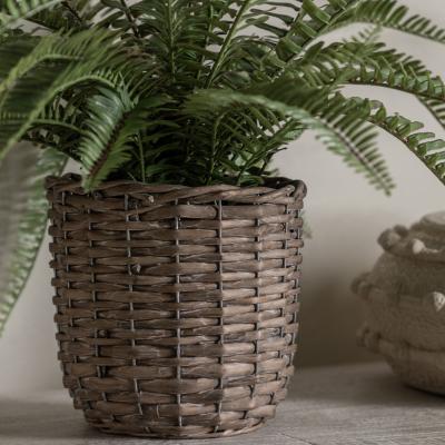 Dunelm Artificial Fern in Wicker Pot MultiColoured