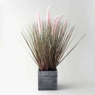 Dunelm Artificial Foxtail Grass in Grey Pot 49cm Pink