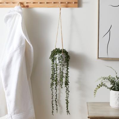 Dunelm Hanging Trailing Plant in Pot Green