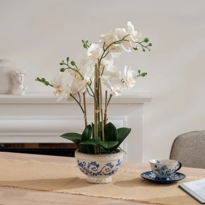 Dunelm Artificial Cream Phalaenopsis Orchid in Crackle Pot