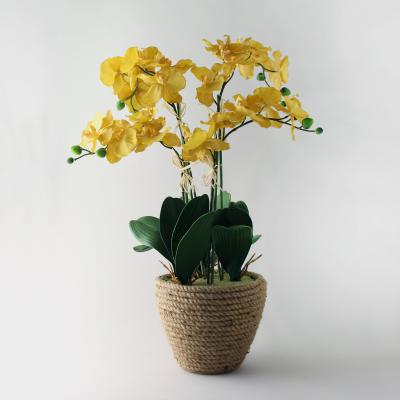 Dunelm Artificial Orchid Ochre in Jute Basket 70cm Yellow