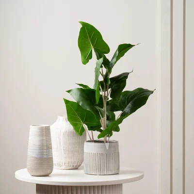 Dunelm Artificial Real Touch Typhonium in Black Plastic Plant Pot Green