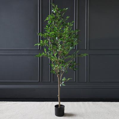 Dunelm Mini Ficus Tree in Pot 155cm Green