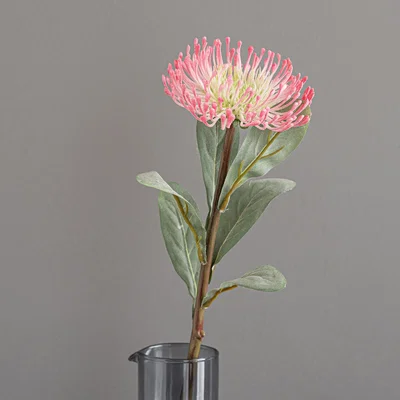 Dunelm Banksia Pink Stem Pink