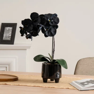 Dunelm Artificial Black Orchid in Ceramic Pot