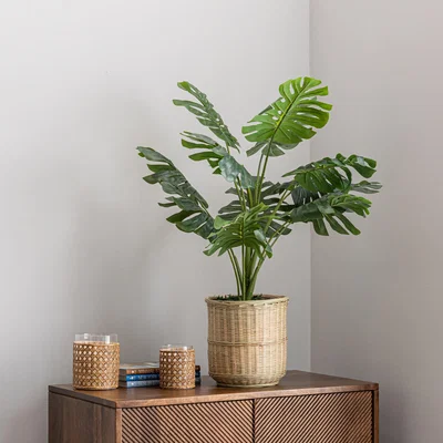 Dunelm Monstera in Bamboo Basket Natural