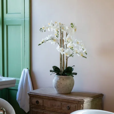 Dunelm Oversized Orchid in Rustic Pot
