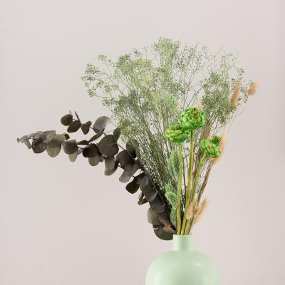 Dunelm Dried Flower Medium Green Bouquet Green