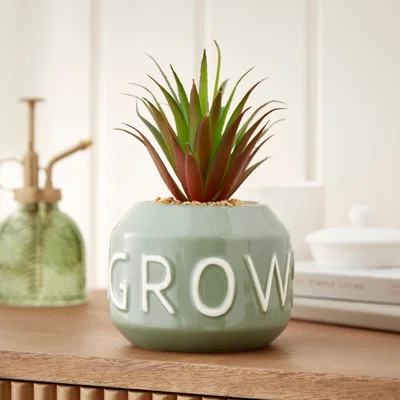 Dunelm Grow Artificial Succulent Grey