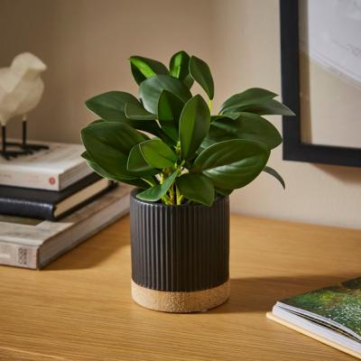 Dunelm Artificial Philodendron Plant in Black Ribbed Ceramic Plant Pot