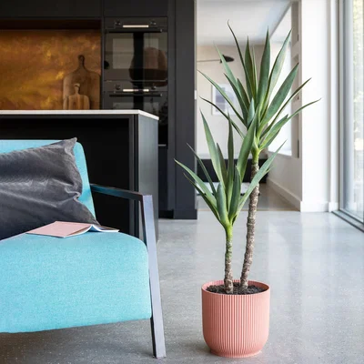 Dunelm Artificial Yucca Plant Green