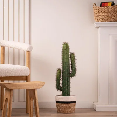 Dunelm Artificial Cactus in Black Plastic Plant Pot Green