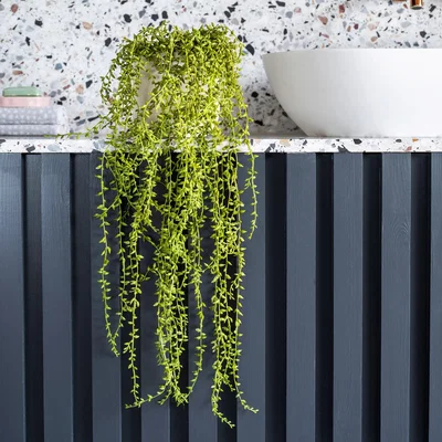 Dunelm Artificial Hanging String of Pearls Plant Green
