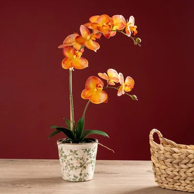 Dunelm Artificial Real Touch Orange Phalaenopsis Orchid in Ceramic Plant Pot Orange