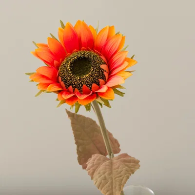 Dunelm Artificial Large Orange Sundried Sunflower Stem Orange