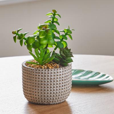 Dunelm Artificial mini Succulent Garden in Cement Pot Green and Brown