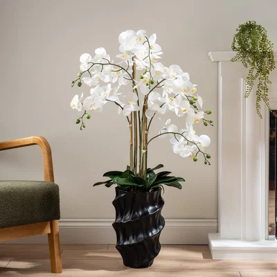 Dunelm Artificial Real Touch Phalaenopsis Orchid in Stone Plant Pot White