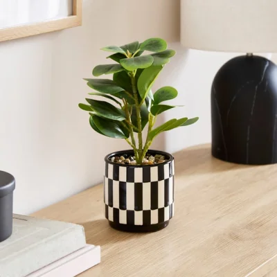 Dunelm Artificial Rubber Plant in Checked Ceramic Plant Pot