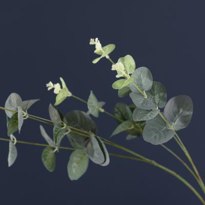 Dunelm Eucalyptus 78cm Spray Green Green