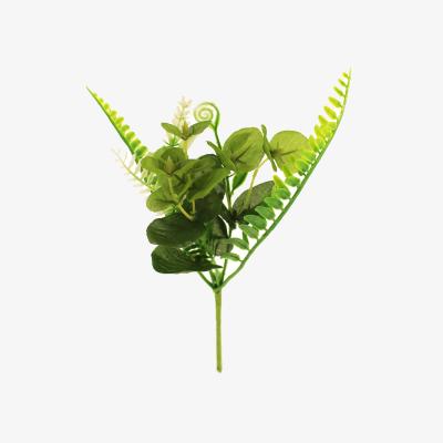 Dunelm Eucalyptus and Fern Pick Green