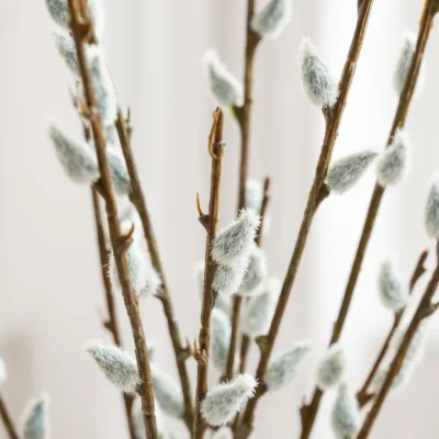 Dunelm Artificial Pussy Willow Bundle