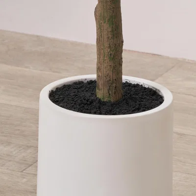 Dunelm Artificial Medium Olive Tree in White Plant Pot
