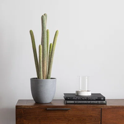 Dunelm Coastal Artificial Large Cactus Green