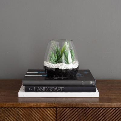 Dunelm Coastal Artificial Succulents in Glass Vase Green