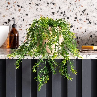 Dunelm Artificial Hanging Asparagus Plant Green