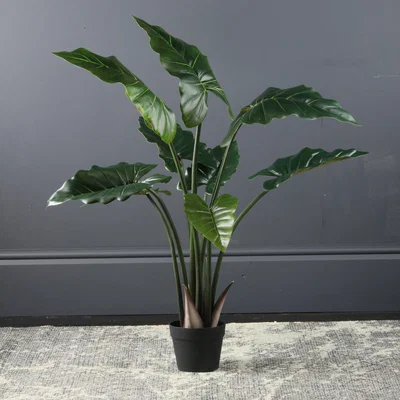 Dunelm Calla Tree 100cm Green