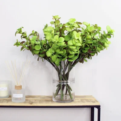 Dunelm Artificial Crassula Spray 50cm 12 Pack Green Green