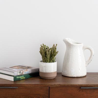 Dunelm Coastal Artificial Brunia in Two Tone Ceramic Pot Green