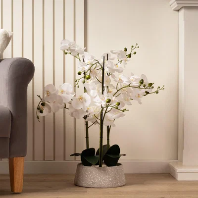 Dunelm Artificial White Orchid in Grey Terrazzo Plant Pot Grey