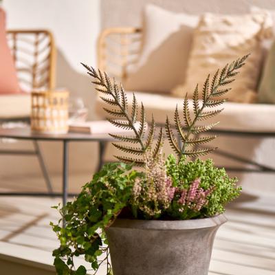 Dunelm Marsh Fern Stake MultiColoured