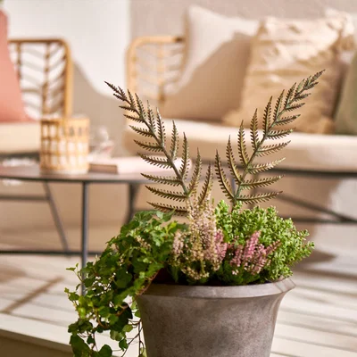 Dunelm Marsh Fern Stake MultiColoured