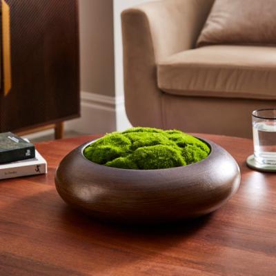 Dunelm Artificial Moss in Wood Effect Bowl