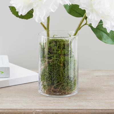 Dunelm Natural Dried Moss 30g Green