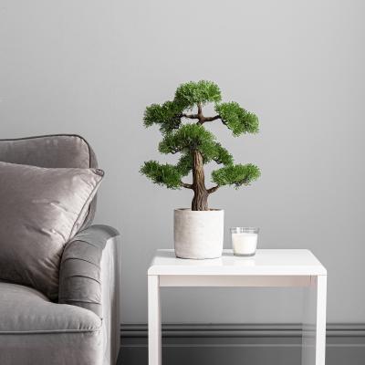 Dunelm Bonsai Tree in Concrete Planter 53cm Green