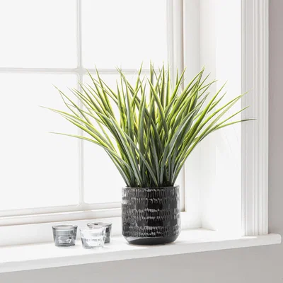 Dunelm Artificial Grass in Ceramic Pot Green