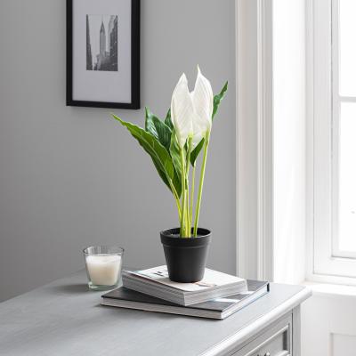 Dunelm Artificial Peace Lily in Black Pot 50cm Green