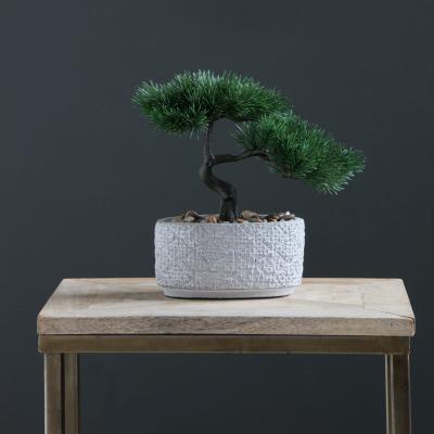 Dunelm Bonsai Tree in Textured Cement Pot 26cm Green