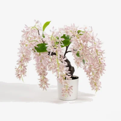 Dunelm Artificial Orchid Bonsai in White Plant Pot