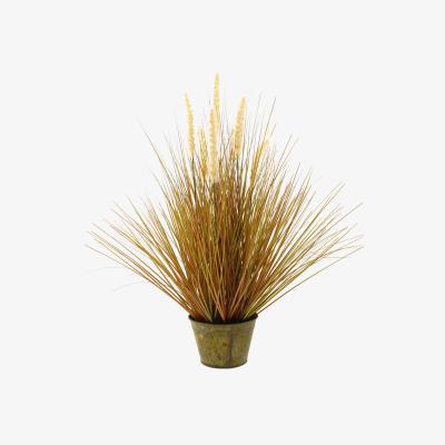Dunelm Foxtail Grass 60cm Green Green