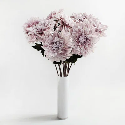 Dunelm Pack of 12 Artificial Dahlia Champagne Stem 95cm Champagne