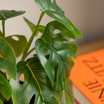 Dunelm Artificial Cheese Plant in Black Plant Pot