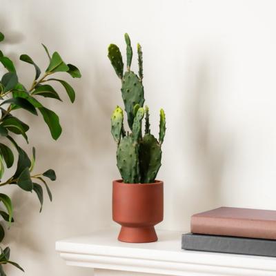 Dunelm Artificial Tall Cactus in Ceramic Plant Pot