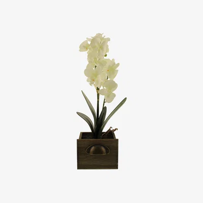 Dunelm Artificial Double Orchid 50cm Plant